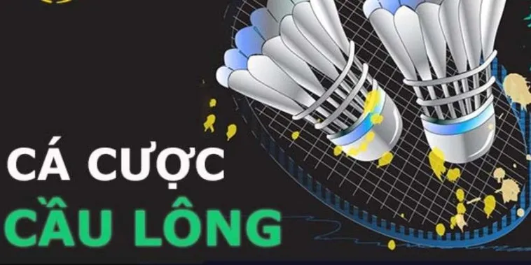 Hướng Dẫn Chơi Cá Cược Cầu Lông Tại DV88 Chi Tiết Nhất 2 Hướng Dẫn Chơi Cá Cược Cầu Lông Tại DV88 Chi Tiết Nhất